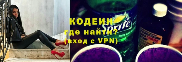 шишки Вяземский