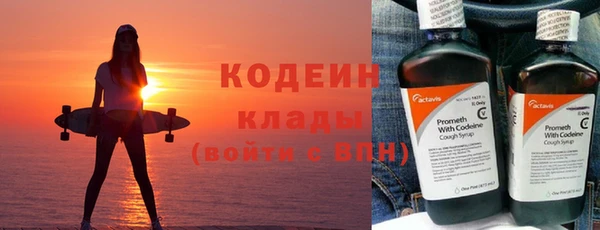 шишки Вяземский