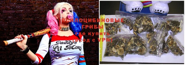 шишки Вяземский