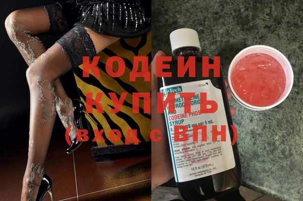 шишки Вяземский